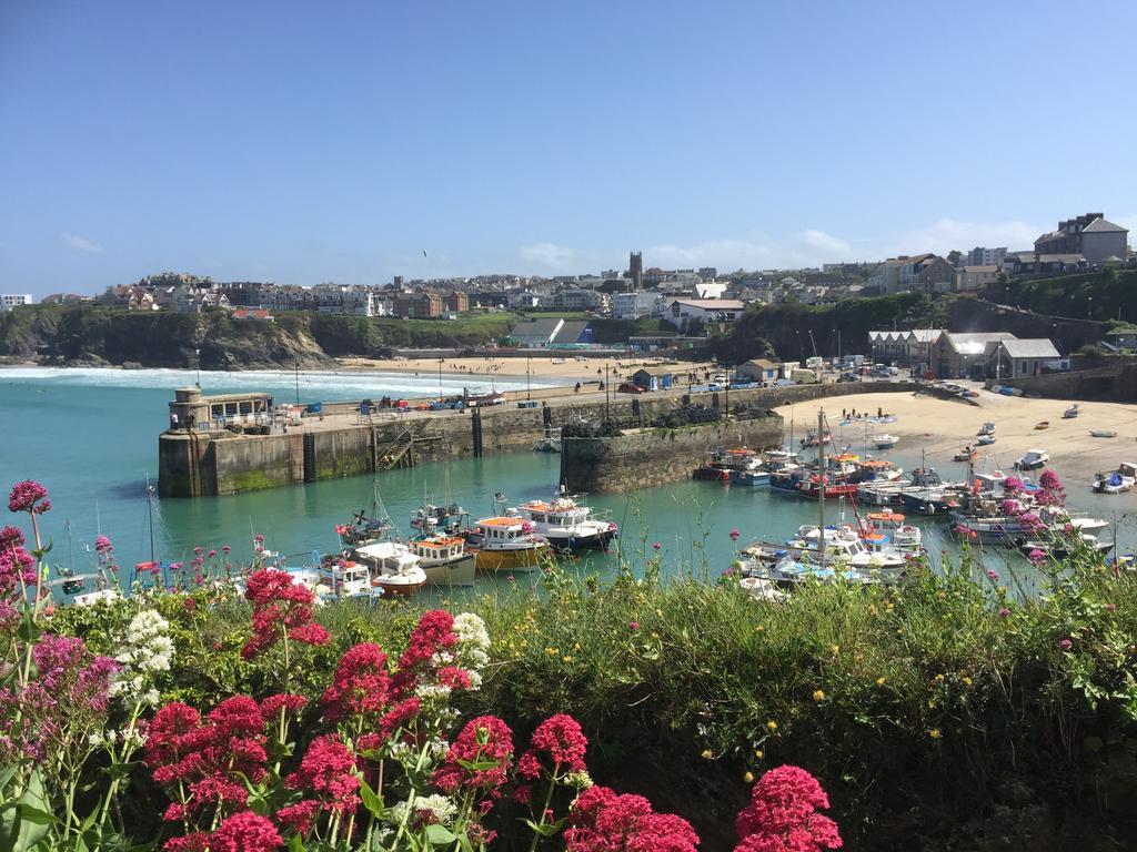Smarties Guest House New Quay Exterior foto